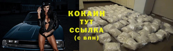 трава Медвежьегорск