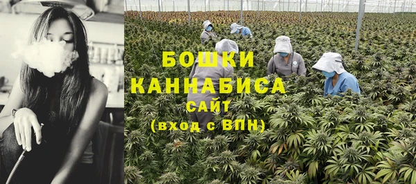 метадон Медногорск