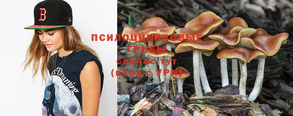 крисы Ижевск