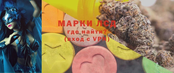 индика Нязепетровск