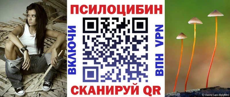 Галлюциногенные грибы Psilocybine cubensis  продажа наркотиков  Стародуб 