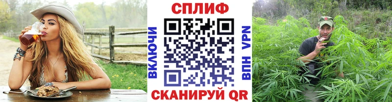 Бошки Шишки сатива  Стародуб 